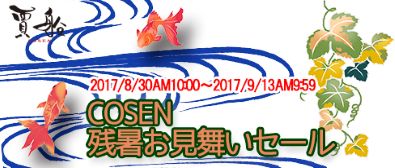 ���������꡼ No.001�Υ���ͥ������ / ������Wii U/3DS�ѥ���������ɥ��եȤδ��ָ��ꥻ�����»�