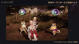 ���������꡼ No.018�Υ���ͥ������ / ��LOST ARK�פΥ����ץ󥵡��ӥ���9��23���˥������ȡ�������ѥåɤ������б��俷���饹�֥�󥹥ޥ������פμ���������ȯɽ