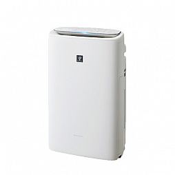 ���������꡼ No.006�Υ���ͥ������ / ��LOST ARK�ס�����Φ�֥衼��׼����ʤɤ�ǰ���������ڡ��󳫺�