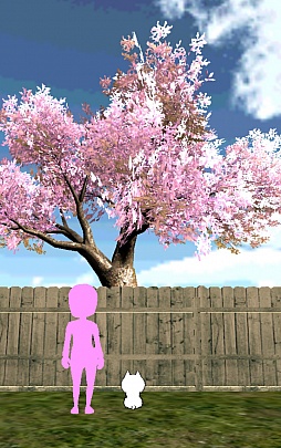 ������#011�Υ���ͥ���/�ҥͥ��Ƚ��λҤ���Ĺʪ�졣���ޥ۸����֥ߥ��βȤΤˤ�󤳡פ�Ҳ𤹤�֡ʤۤܡ��������ޥۥ������̿�����704��