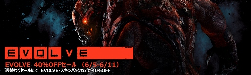 ���������꡼ No.006�Υ���ͥ������ / ��EVOLVE�פ�40�󥪥դ�4200�ߤˡ���Weekly Amazon Sale��2015ǯ6��5����6��11��