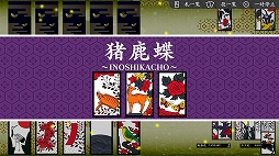 ꡼ No.031 | ֥ॷƥ ץ꡼ȥǥפ50󥪥դ2300ߤˡWeekly Amazon Sale2016ǯ25212