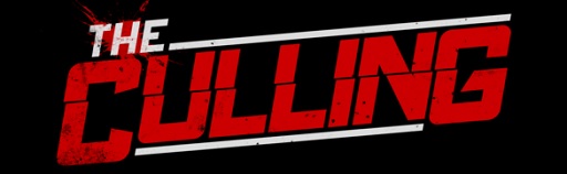 ꡼ No.020Υͥ / ϥSteam 106󡧻ãäǻ礤򷫤깭ǥThe Culling