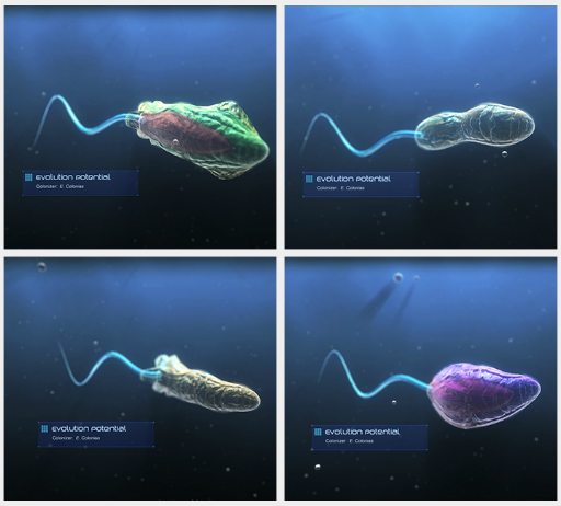 ꡼ No.029Υͥ / ϥSteam 106󡧻ãäǻ礤򷫤깭ǥThe Culling