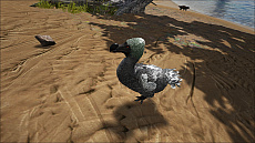 ꡼ No.009 | ϥSteam ֳԡǯǯϤ϶ε˽Ф褦ARK: Survival EvolvedץХХ륬