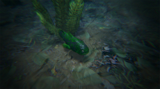 ꡼ No.014 | ϥSteam ֳԡǯǯϤ϶ε˽Ф褦ARK: Survival EvolvedץХХ륬