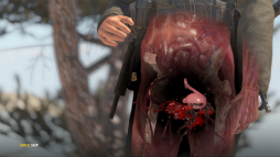 画像ギャラリー No.006のサムネイル画像 / ハロー!Steam広場 第145回:近接戦にもキルカメラが導入されて痛々しさ倍増。シリーズ最新作「Sniper Elite 4」