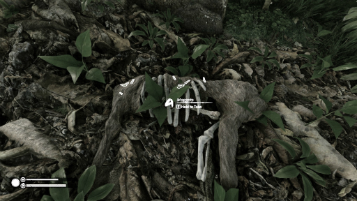 ꡼ No.004Υͥ / ϥSteam 211ϵŤʥѥ­νܻǳǧꥢָʥ󥰥륵ХХGreen Hell