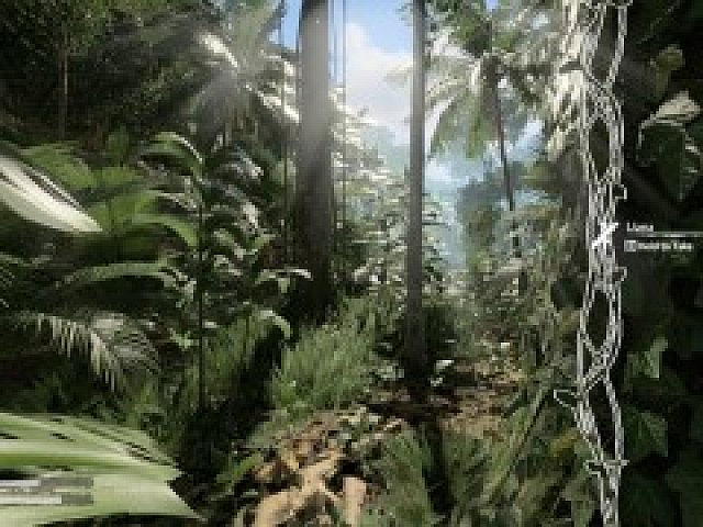 ハロー Steam広場 第211回 虫は貴重なタンパク源 手足の傷は目視で確認 リアル志向なジャングルサバイバル Green Hell