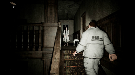 ꡼ No.011Υͥ / ϥSteam 231ͧã4ͤǿݥåȤߤʥΥͷ٤붨Ϸεäۥ顼Pacify