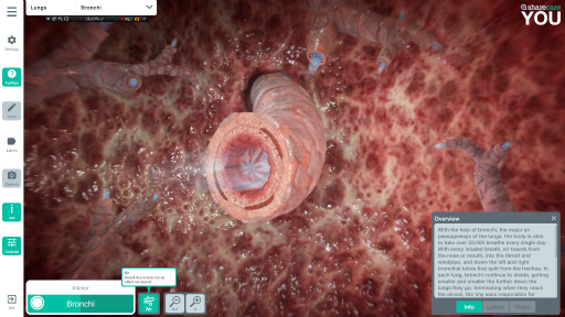 ���������꡼ No.006�Υ���ͥ������ / �ϥ�����Steam���� ��293�󡧷򹯰ռ����ݤ����Ǥ��ޤäƤ��ޤ�3D��˶�ޥ��եȡ�Sharecare You��