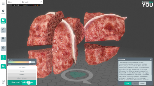 ���������꡼ No.007�Υ���ͥ������ / �ϥ�����Steam���� ��293�󡧷򹯰ռ����ݤ����Ǥ��ޤäƤ��ޤ�3D��˶�ޥ��եȡ�Sharecare You��