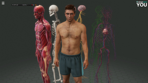 ���������꡼ No.008�Υ���ͥ������ / �ϥ�����Steam���� ��293�󡧷򹯰ռ����ݤ����Ǥ��ޤäƤ��ޤ�3D��˶�ޥ��եȡ�Sharecare You��