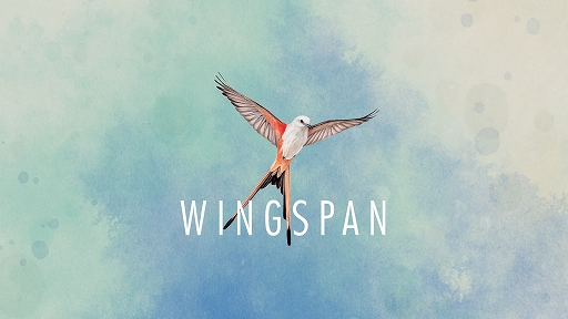 ꡼ No.001 | ϥSteam 314Ļ򽸤ݸ˭ˤƤάɥWingspan