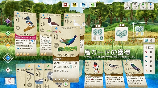 ꡼ No.005 | ϥSteam 314Ļ򽸤ݸ˭ˤƤάɥWingspan