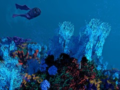 ハロー！Steam広場 第326回：何もない海底で一から生態系を築き上げていくシミュレーションゲーム「Ecosystem」