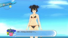 ꡼ No.033 | ֲƿϥĽάˡץҥȤΥ󥷥åץ٥ȤˡˤΥ󥷥åס֥å٥ȡפȤ