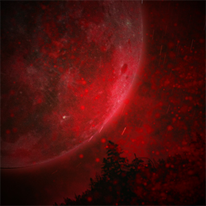 ���������꡼ No.006�Υ���ͥ������ / ��CHUNITHM�ס�maimaiORANGE PLUS�פǡ�����Project�ץ���ܥ��٥�ȳ���