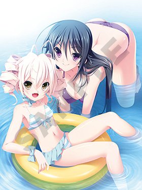 画像ギャラリー No.005のサムネイル画像 / 「百花繚乱エリクシル」限定版同梱のタペストリーと,店舗別特典の内容が公開