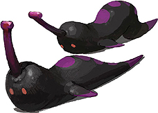 ꡼ No.009 | з޷⥦פΥॷƥब餫ˡʹԤ˴ؤ3ĤΥեɤξܺ٤ࡼӡȶ˸