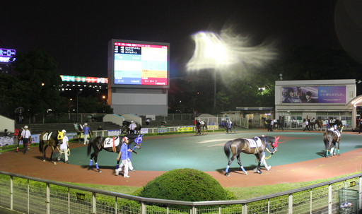 ���������꡼ No.003�Υ���ͥ������ / ������ƥ����Ϥǡ�Winning Post�פδ��졼�������š������ˤ����ߥ֡��������֤��졤��ھ��ʤ��������������