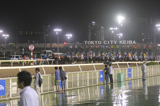 ���������꡼ No.006�Υ���ͥ������ / ������ƥ����Ϥǡ�Winning Post�פδ��졼�������š������ˤ����ߥ֡��������֤��졤��ھ��ʤ��������������