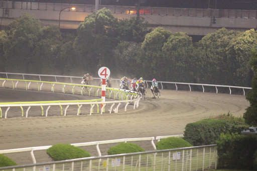 ���������꡼ No.008�Υ���ͥ������ / ������ƥ����Ϥǡ�Winning Post�פδ��졼�������š������ˤ����ߥ֡��������֤��졤��ھ��ʤ��������������