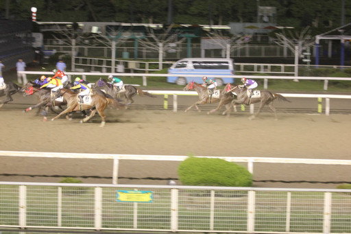 ���������꡼ No.012�Υ���ͥ������ / ������ƥ����Ϥǡ�Winning Post�פδ��졼�������š������ˤ����ߥ֡��������֤��졤��ھ��ʤ��������������