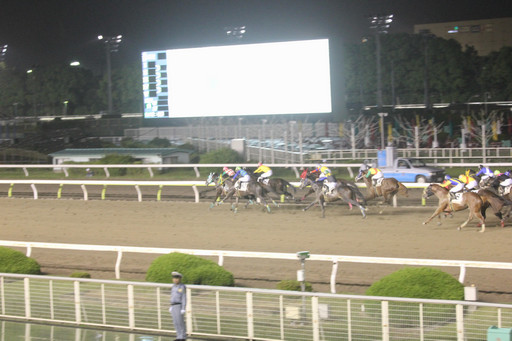 ���������꡼ No.013�Υ���ͥ������ / ������ƥ����Ϥǡ�Winning Post�פδ��졼�������š������ˤ����ߥ֡��������֤��졤��ھ��ʤ��������������