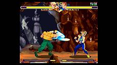 ���������꡼ No.009�Υ���ͥ������ / ���٤ϡȽְִ�ư�ɤ⡩���֥��ȥ꡼�ȥե�������V�ס�������顦�ʥå���˥ե������������ǿ��ץ쥤����������