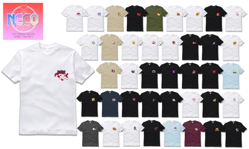 ���������꡼ No.002�Υ���ͥ������ / �֥��ȥ꡼�ȥե�������V�פ�40������ͥ����������å����������ץ��������о�