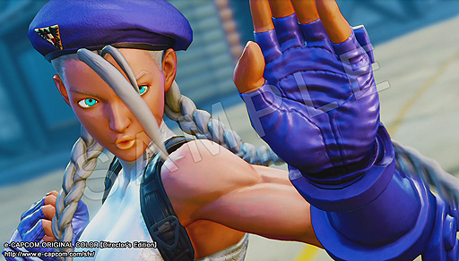 ꡼ No.005 | ֥ȥ꡼ȥեVץץǤǤ16 ץꥫ顼פξҲư褬