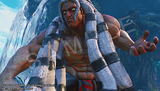 ꡼ No.006 | ֥ȥ꡼ȥեVץץǤǤ16 ץꥫ顼פξҲư褬