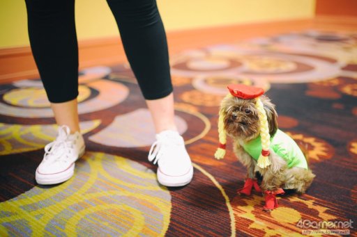 ꡼ No.029 | EVO2017EVO2017롣֥Vפʤ7ȥͽԤTwitterޤȤᡣKOF XIVפϷ辡ޤ