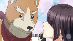 ���������꡼ No.003�Υ���ͥ������ / ��ŷ������������סߡֿ��ĥ��ʥ��Ĺ�ץ���ܥ����ڡ��󤬳��š�����ܥࡼ�ӡ��������