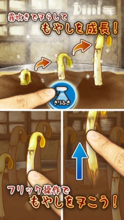 ���������꡼ No.003�Υ���ͥ������ / �֤�䤷�Ӥȡפ��ۿ����ϸ�10����10��DL�����ˡ��緿���åץǡ��ȼ»ܷ���