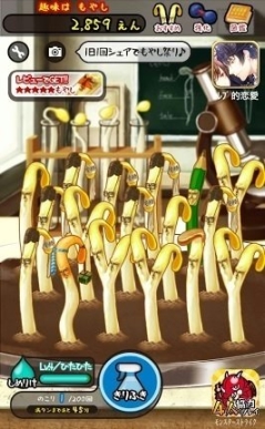 ���������꡼ No.004�Υ���ͥ������ / �֤�䤷�Ӥȡפ��ۿ����ϸ�10����10��DL�����ˡ��緿���åץǡ��ȼ»ܷ���