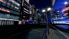 ꡼ No.010 | ֥󥹥󥬡 ȥȥ ǥåɡ׿ֿפȿơֽëפΨUP٥Ȥ»