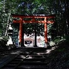 ꡼ No.009 | ֥ॷƥ ӥɥåȡסȥܥƥ󡦥˥ɤʤɤοޥåפ