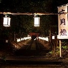 ꡼ No.010 | ֥ॷƥ ӥɥåȡסȥܥƥ󡦥˥ɤʤɤοޥåפ