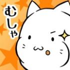 �ѥå�����