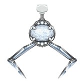 画像ギャラリー No.029のサムネイル画像 / 「クレーン&モンスターズ」魚がテーマの「初夏のお魚祭りイベント」実施