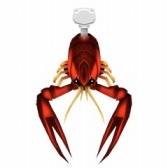 ꡼ No.020 | ֥졼󥹥ס٥ȡ֥եΥ˥Хפ