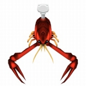 ꡼ No.022 | ֥졼󥹥ס٥ȡ֥եΥ˥Хפ