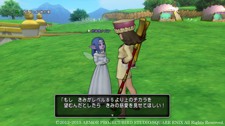 画像ギャラリー No.006のサムネイル画像 / 「ドラゴンクエストX」バージョン3.1後期で,モンスターバトルロードの「協力バトル」が実装。さらに,レベル上限の引き上げも