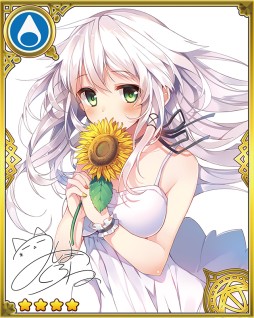 ���������꡼ No.006�Υ���ͥ������ / ��Wonder4World�ס��������������ߥ�פʤ����̤ʥ����ɤ�������뿷���٥��