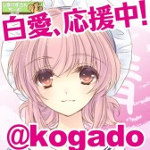 ꡼ No.002 | ¸ɡ׸ȥץTwitterӥ»