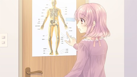 ꡼ No.009Υͥ / ¸ɡסȤͥȤ˸饹ôǤ縶ǡפΥԥɤȡʪԴǸعפξ󤬸