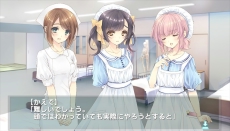 ꡼ No.012Υͥ / ¸ɡסȤͥȤ˸饹ôǤ縶ǡפΥԥɤȡʪԴǸعפξ󤬸