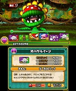 ꡼ No.004 | ܡΥΥ֤ˤʤ롪PUZZLEDRAGONS SUPER MARIO BROS. EDITIONפοTVCMǳ